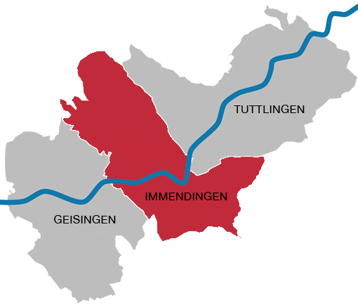 Fahrschule Immendingen